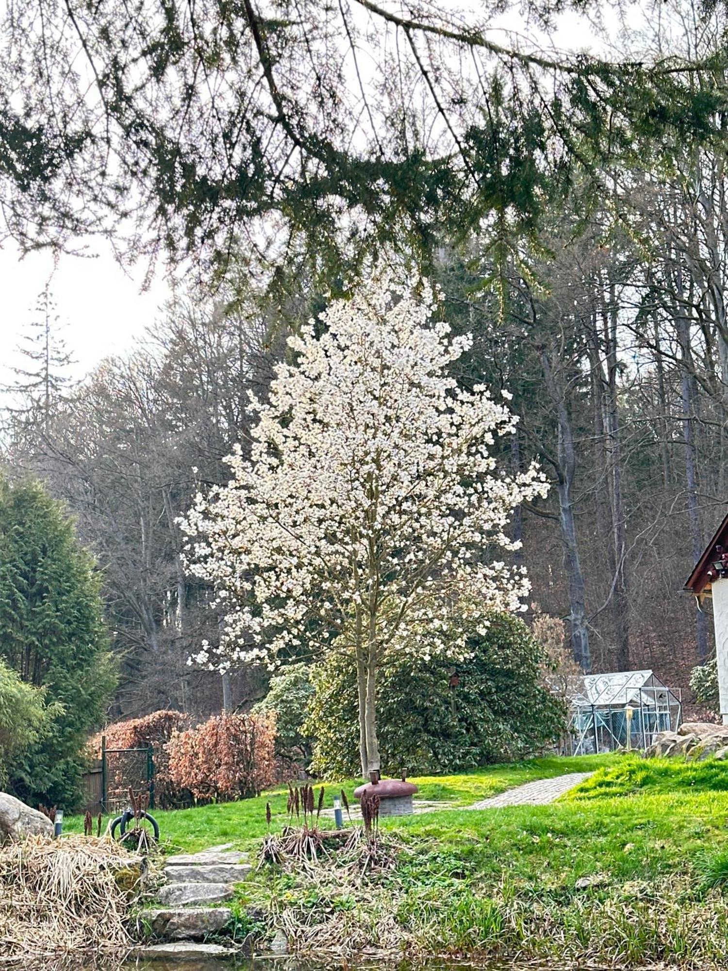 Ferienhaus Jaegerhaus Oppach Privathaus Exterior photo